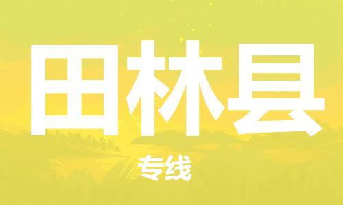 廣州到田林縣物流公司|廣州至田林縣貨運專線 廣州到田林縣物流公司|廣州至田林縣貨運專線